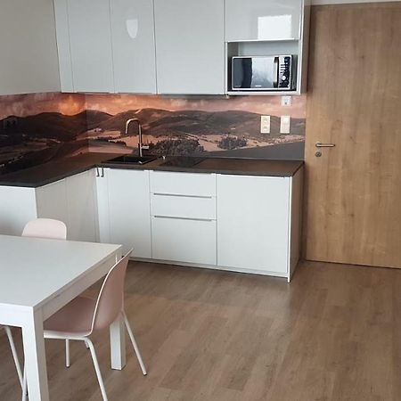 Apartmany Dolni Morava Exterior photo