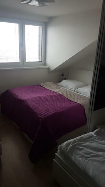 Apartmany Dolni Morava Exterior photo